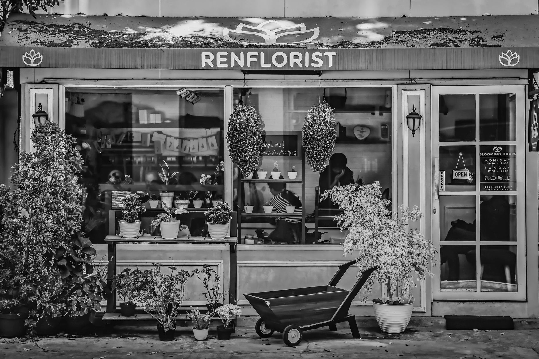 Fleuriste à Bagnolet